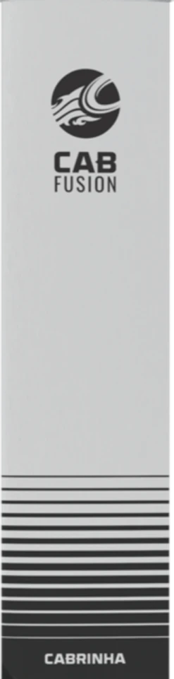 2022 Cabrinha Alloy Mast